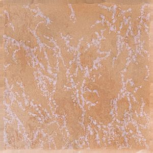 Del Conca Ambre Di Soanne Rosa BB12 Scuro 20x20 см Напольная плитка